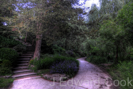 Ed_Choose_A_Path_01