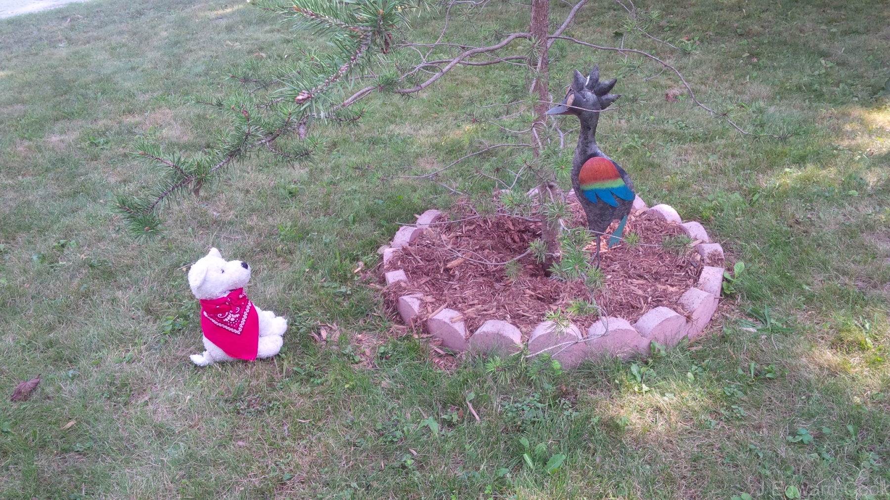 Migriane_Sees_A_Bird